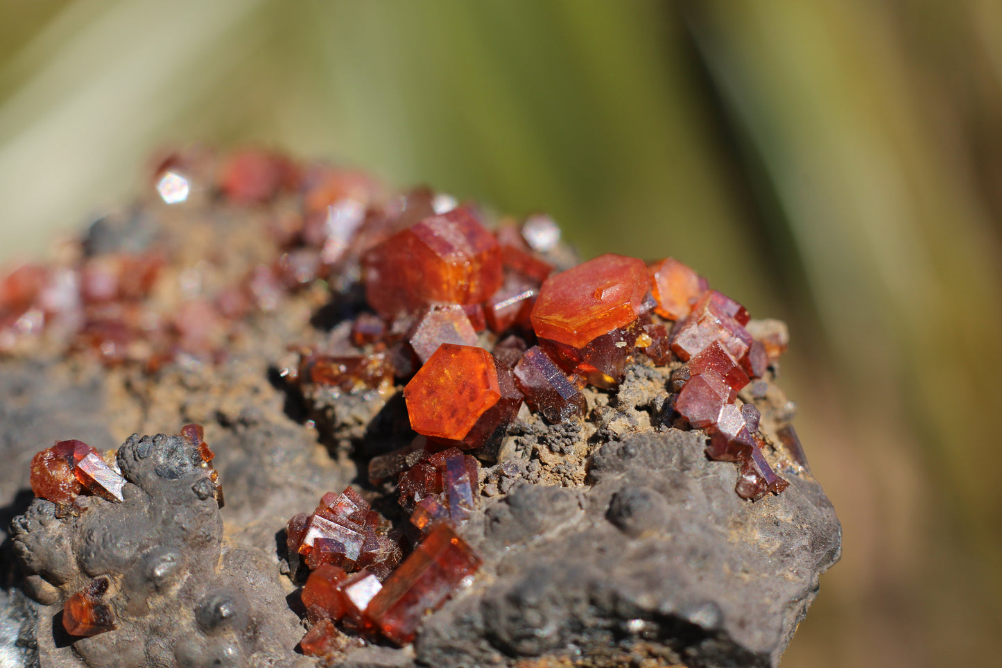 Vanadinite w/ Manganese Oxide