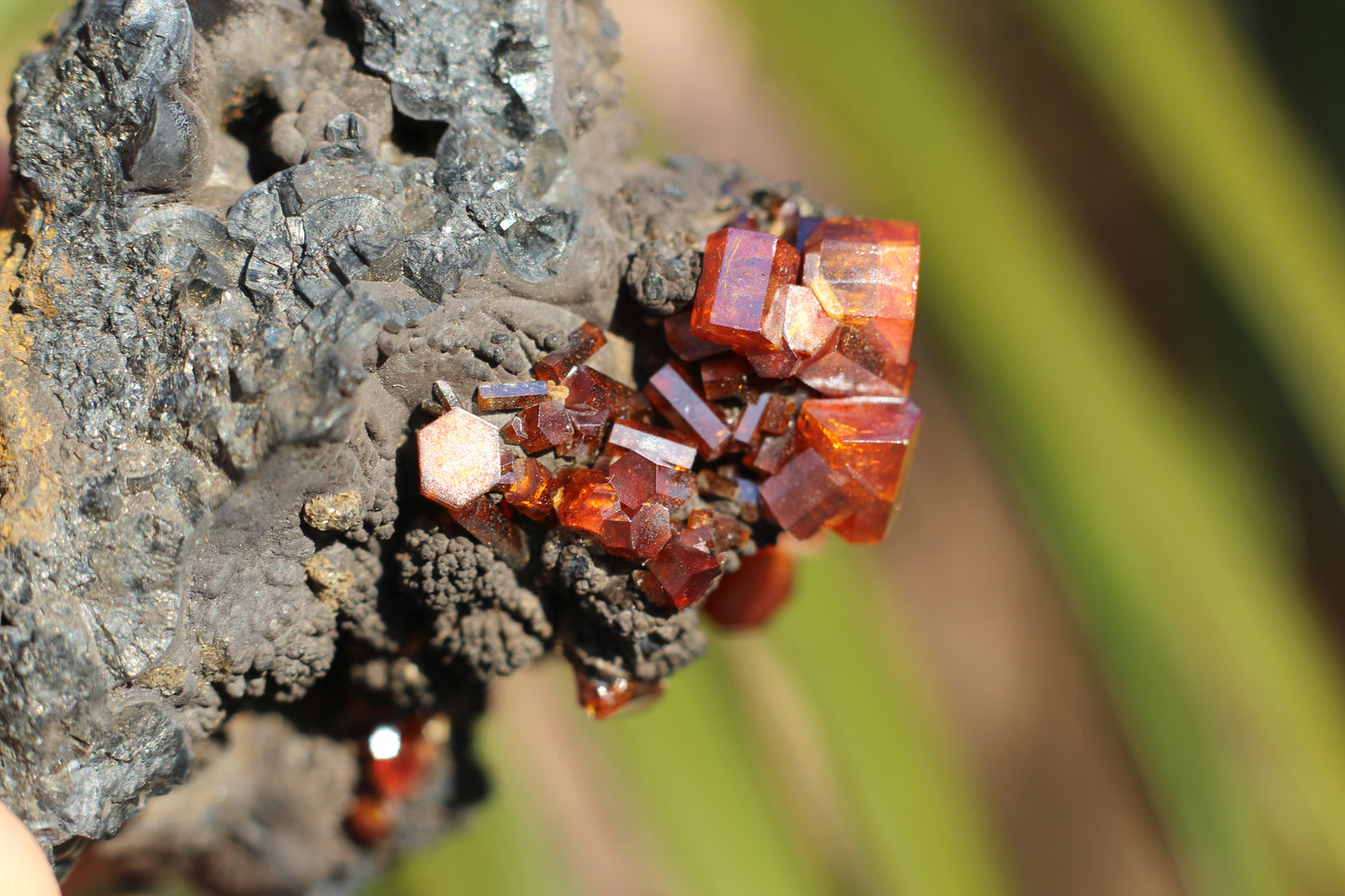 Vanadinite w/ Manganese Oxide