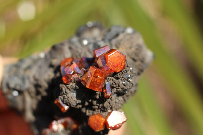 Vanadinite w/ Manganese Oxide