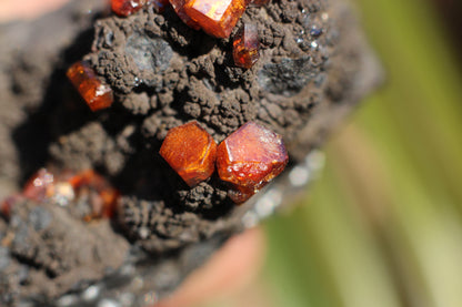 Vanadinite w/ Manganese Oxide