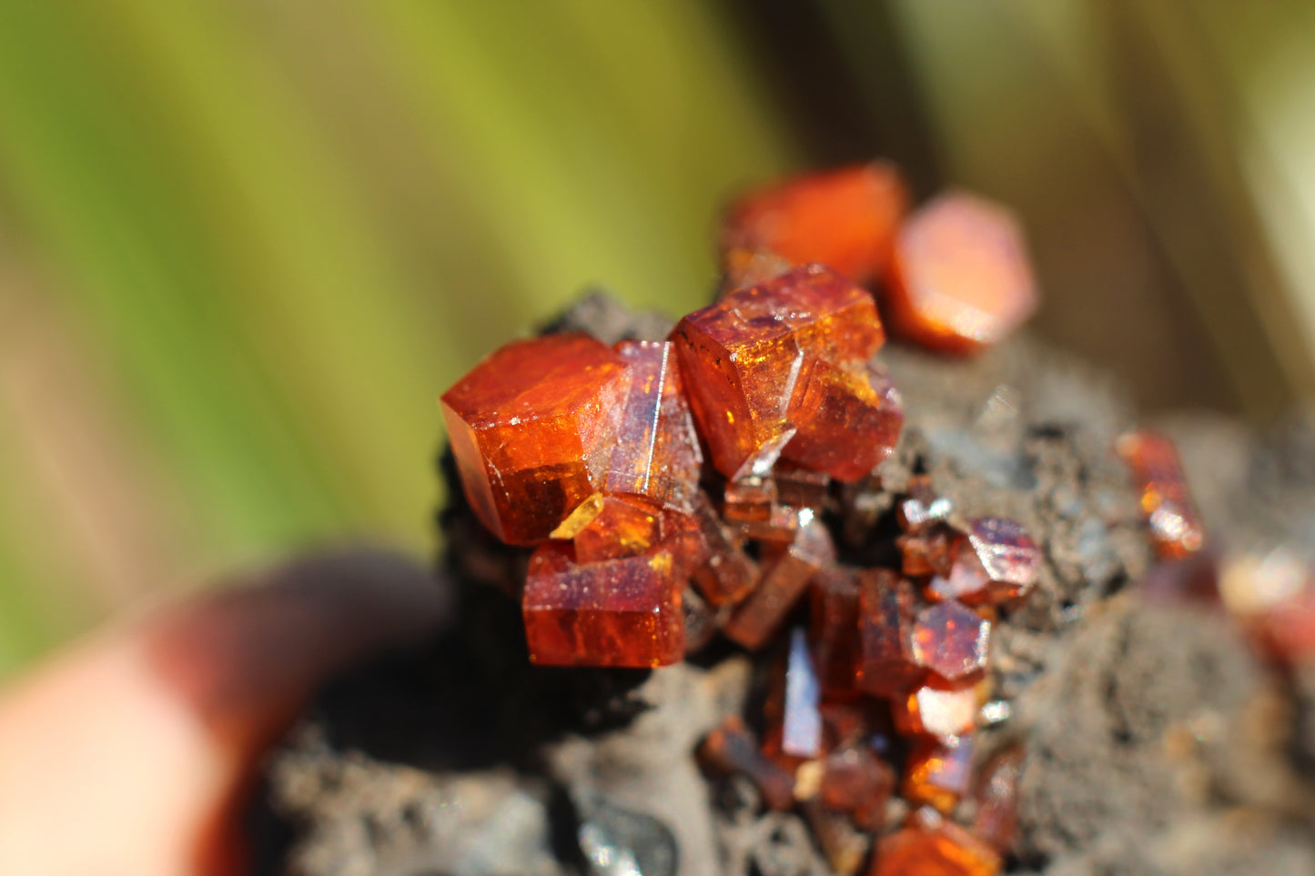 Vanadinite w/ Manganese Oxide