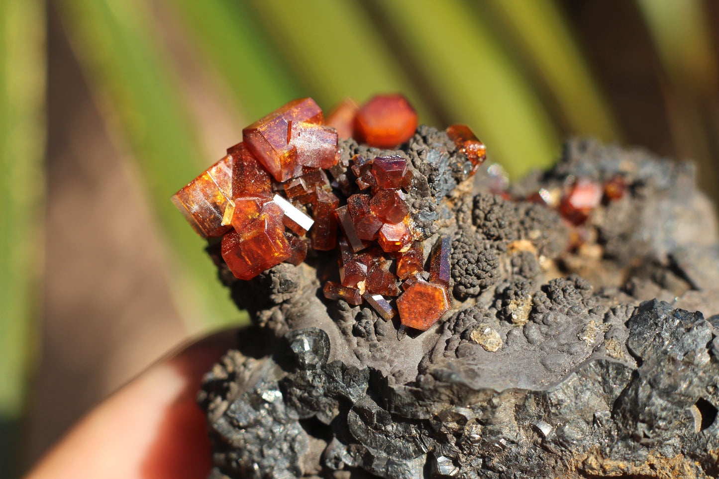 Vanadinite w/ Manganese Oxide