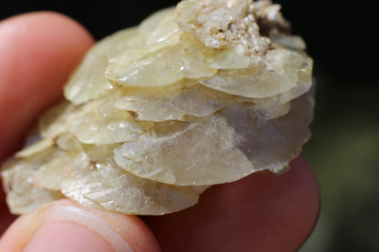 Sphene w/ Epidote