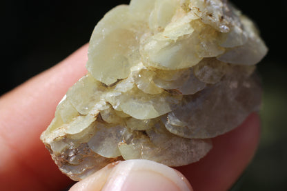 Sphene w/ Epidote