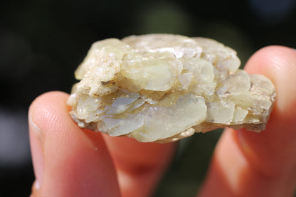 Sphene w/ Epidote