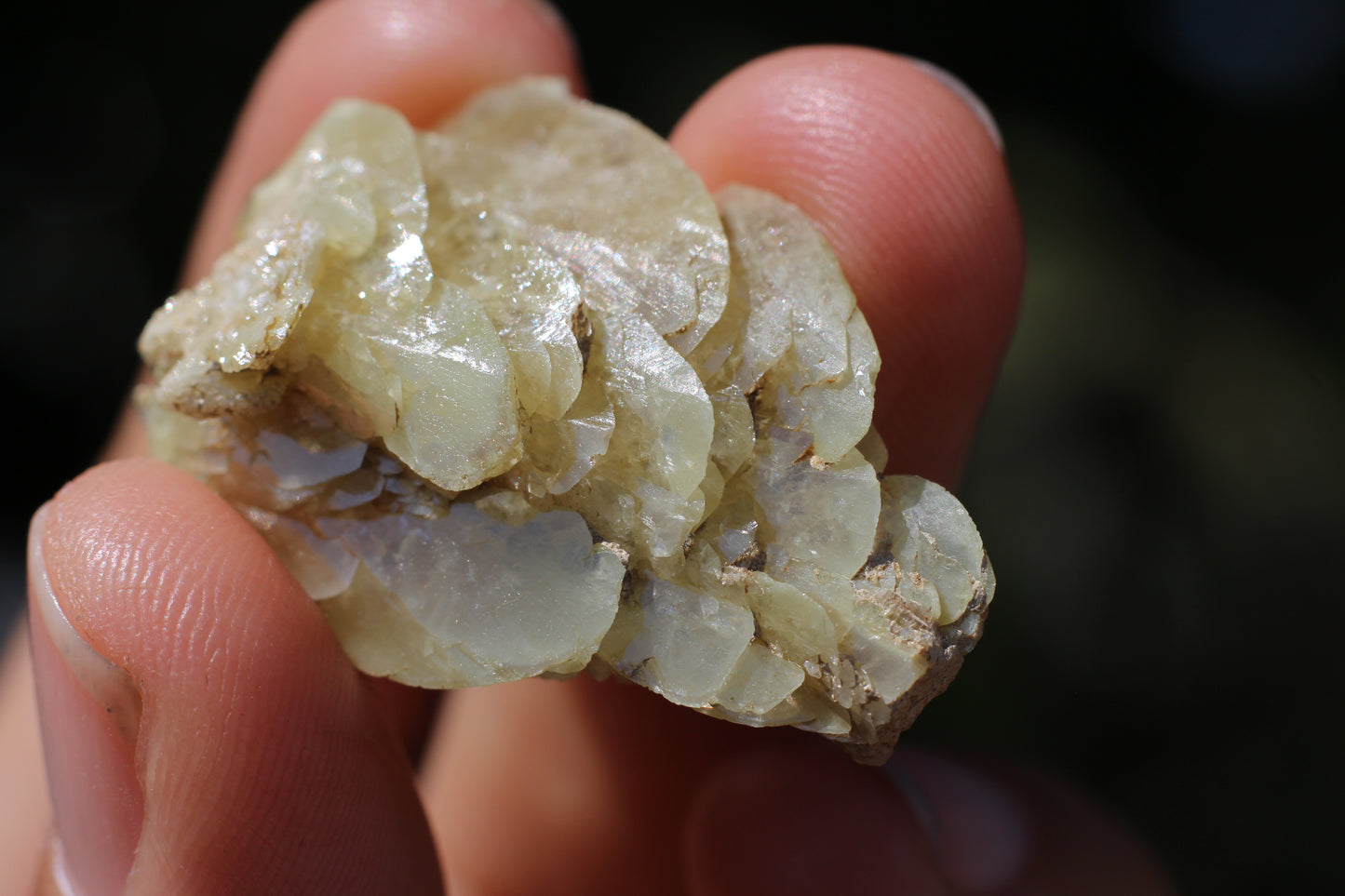 Sphene w/ Epidote