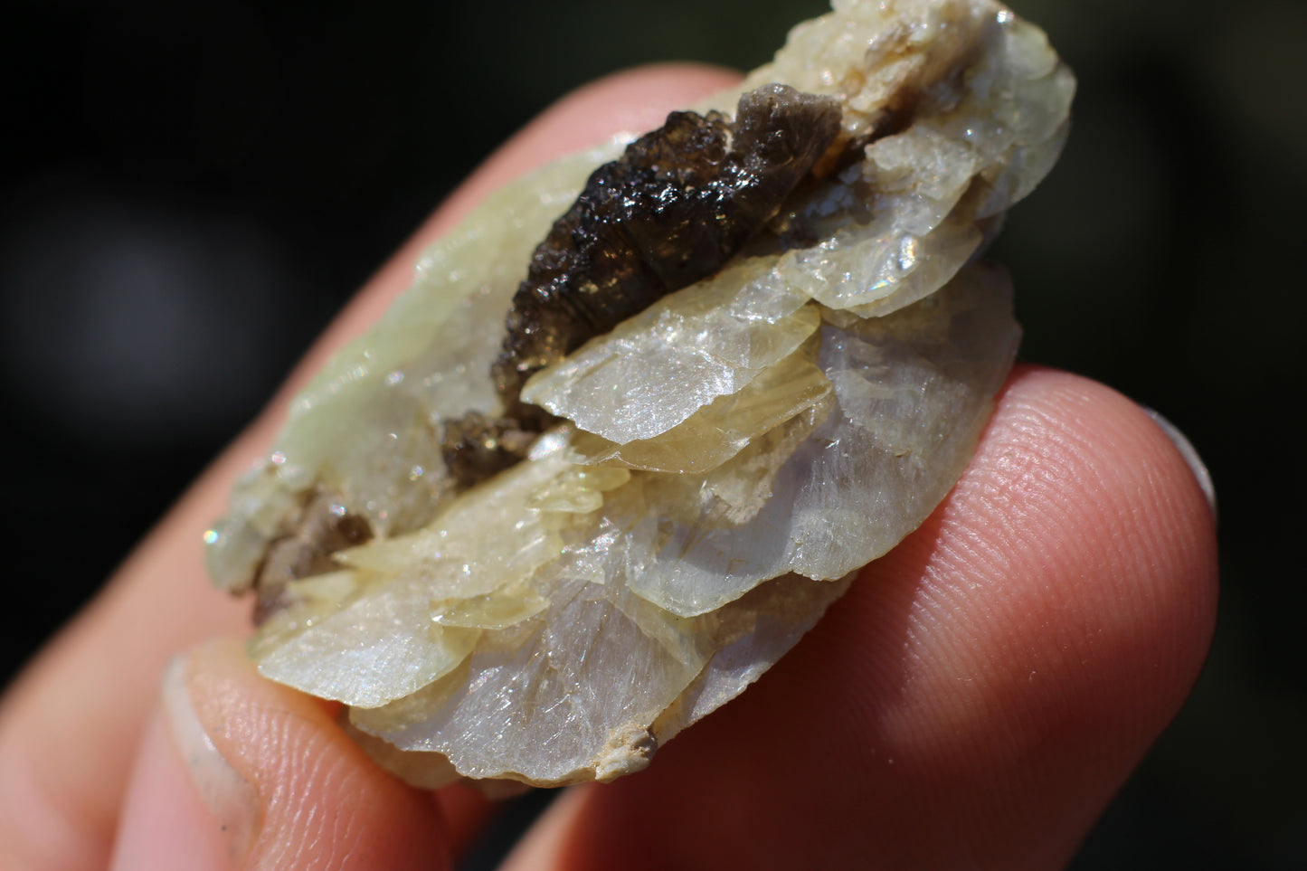 Sphene w/ Epidote