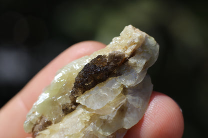 Sphene w/ Epidote