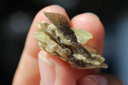 Sphene w/ Epidote