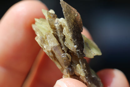 Sphene w/ Epidote