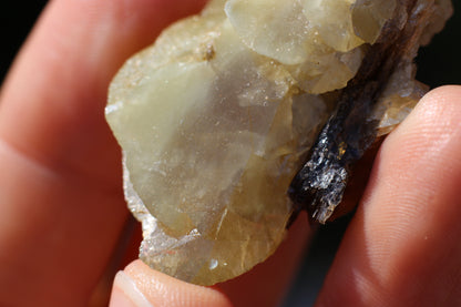 Sphene w/ Epidote