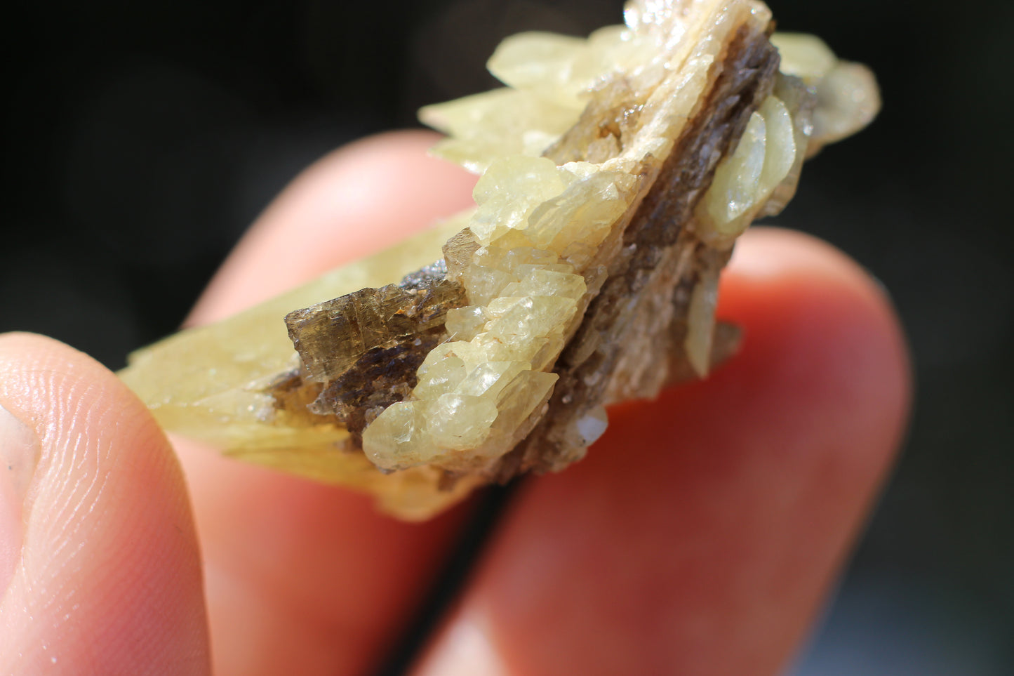 Sphene w/ Epidote