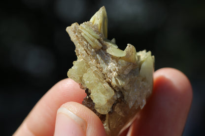 Sphene w/ Epidote