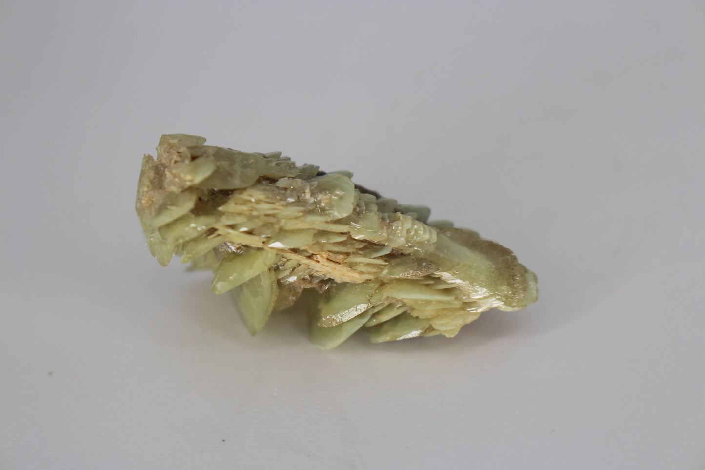 Sphene w/ Epidote