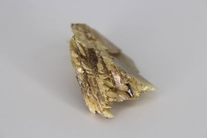 Sphene w/ Epidote