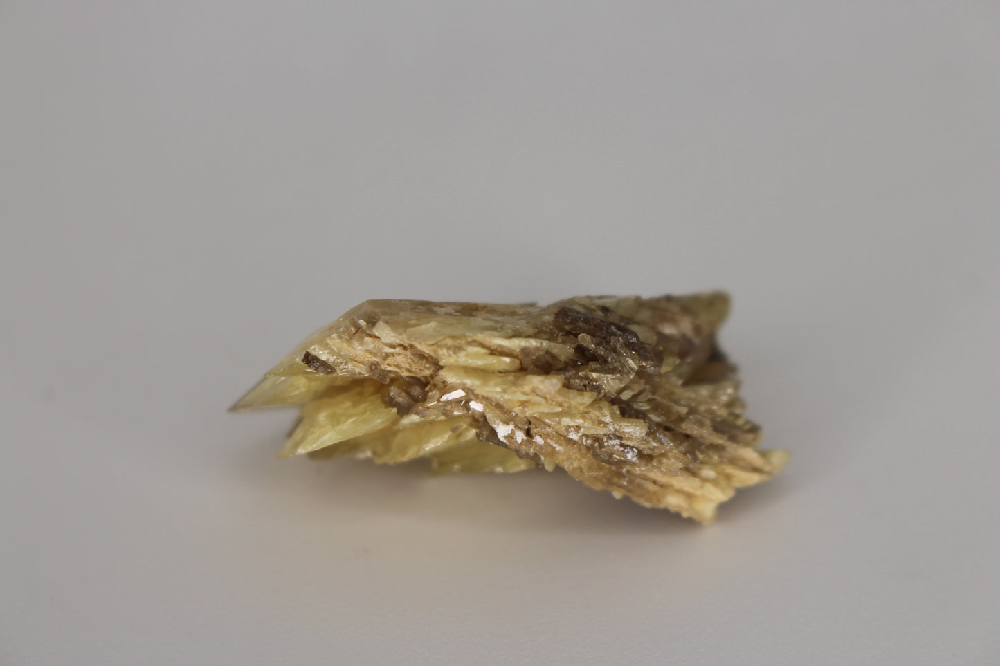 Sphene w/ Epidote