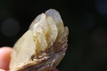 Sphene w/ Epidote