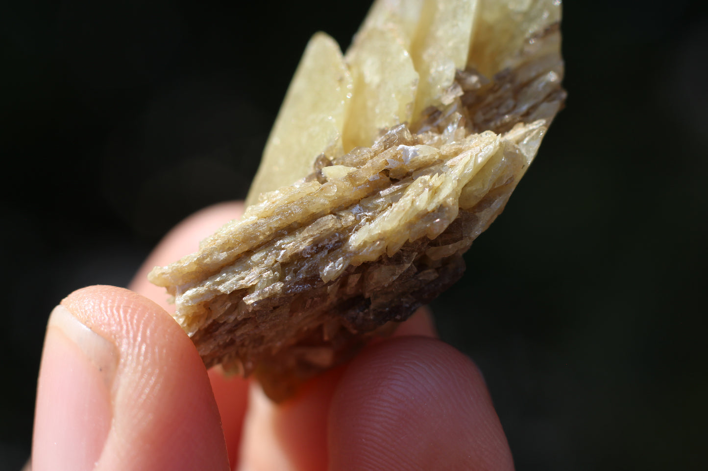 Sphene w/ Epidote