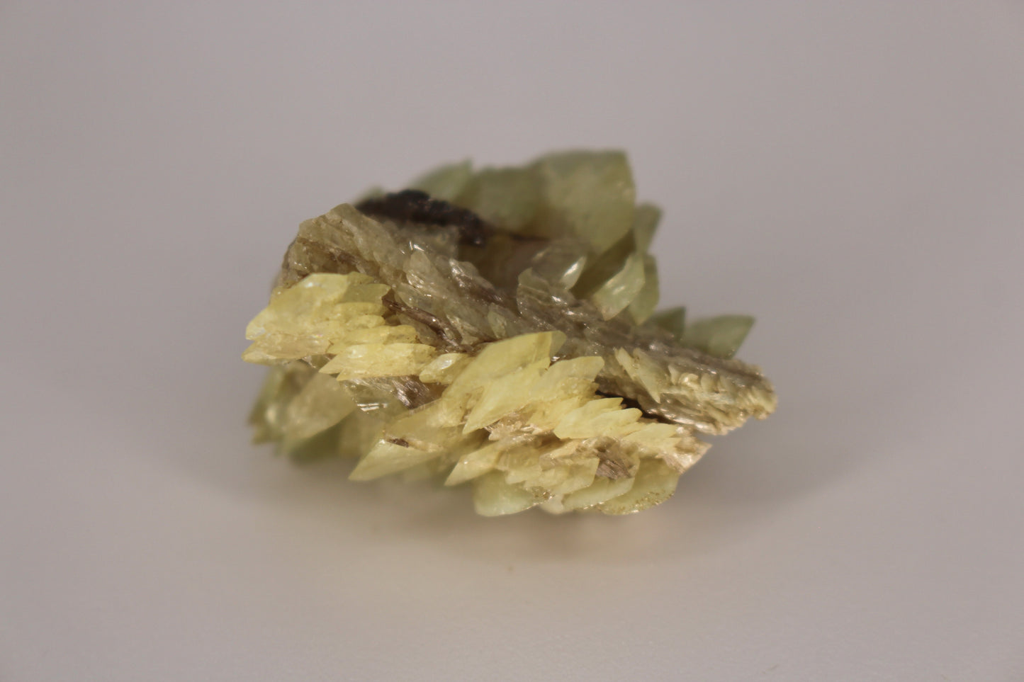 Sphene w/ Epidote