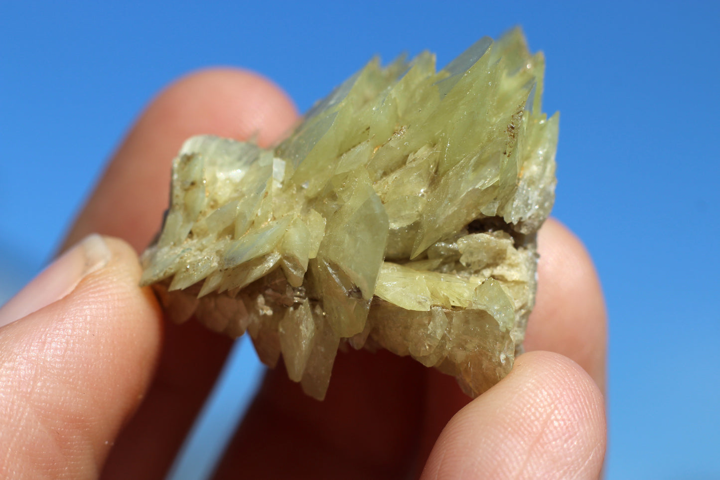 Sphene w/ Epidote