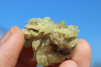 Sphene w/ Epidote