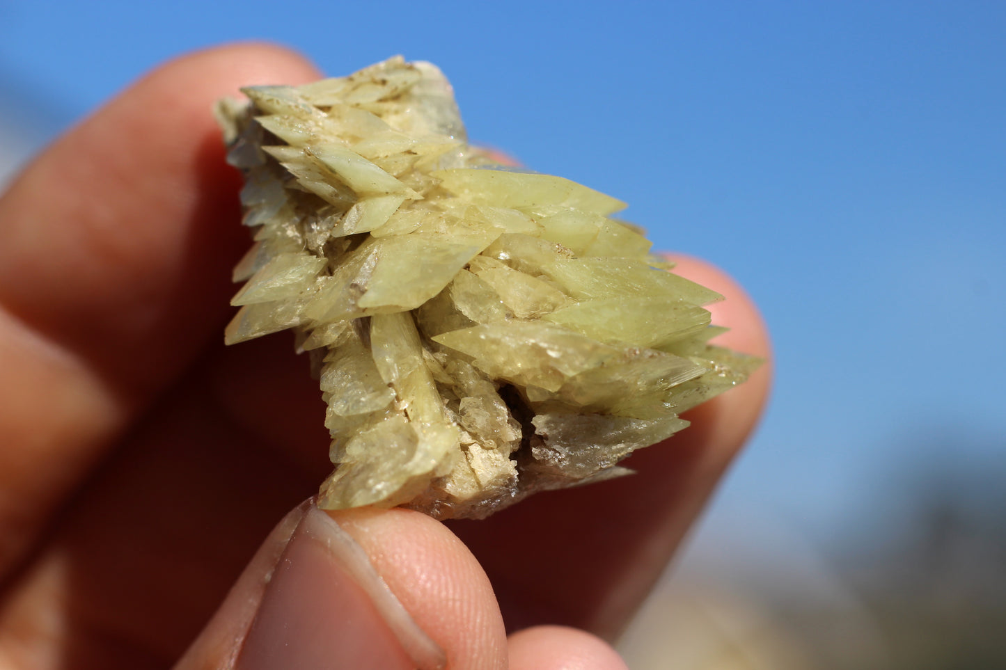 Sphene w/ Epidote