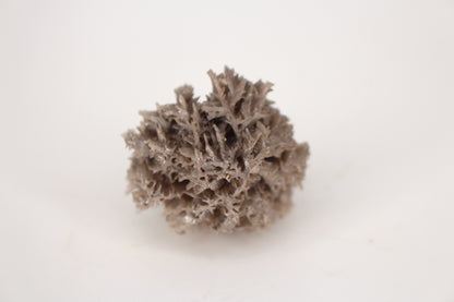 Snowflake Cerussite