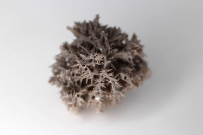 Snowflake Cerussite