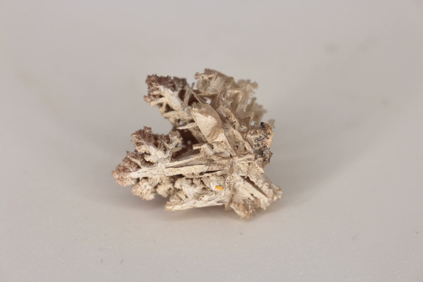 Snowflake Cerussite