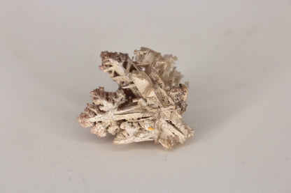 Snowflake Cerussite