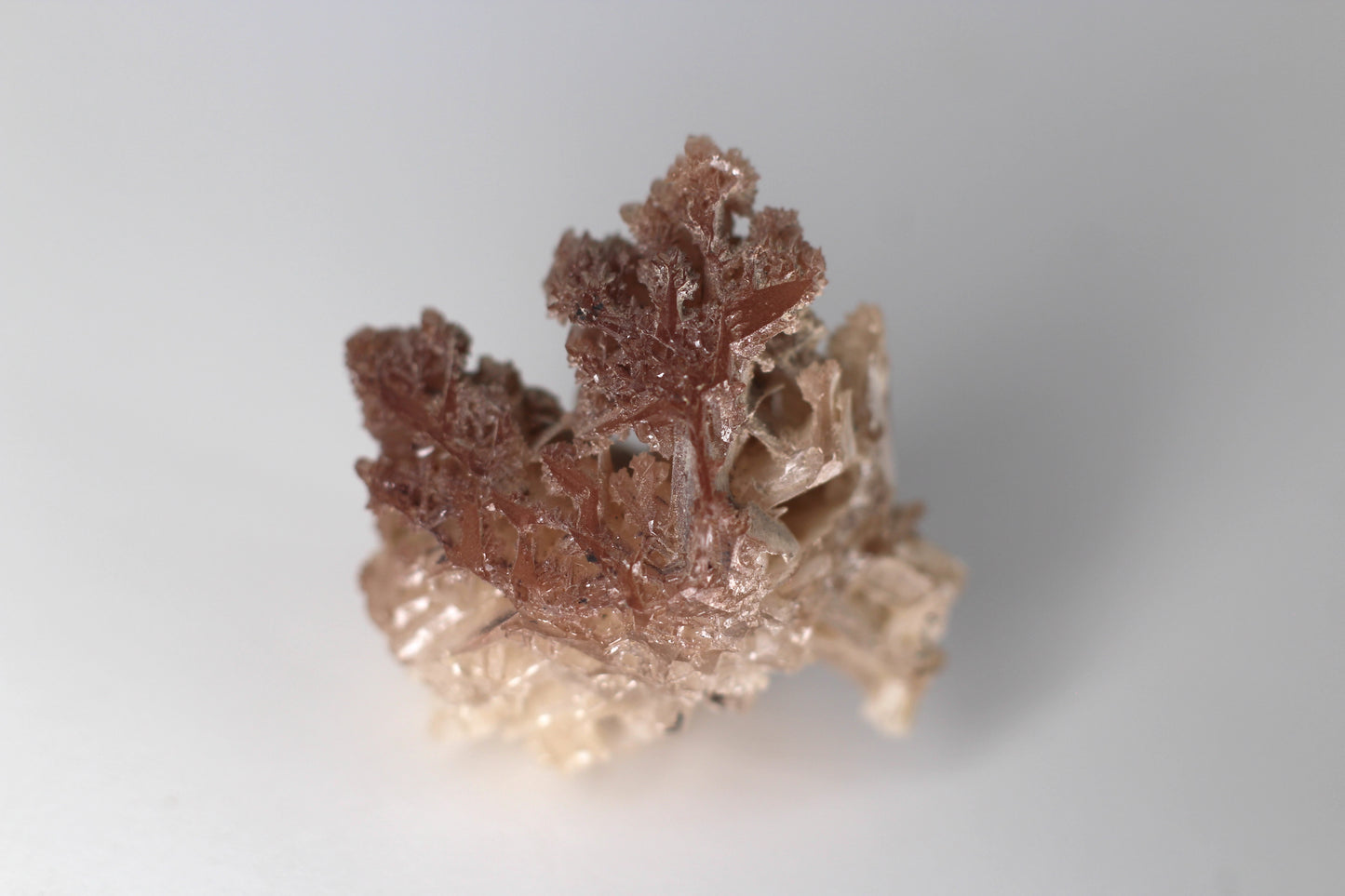 Snowflake Cerussite