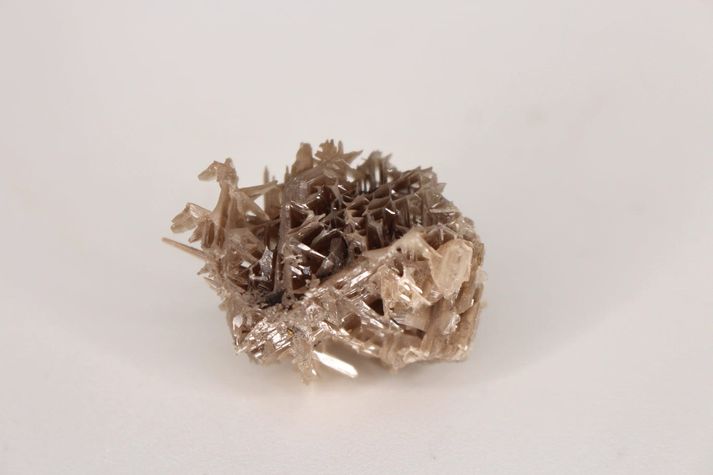 Snowflake Cerussite