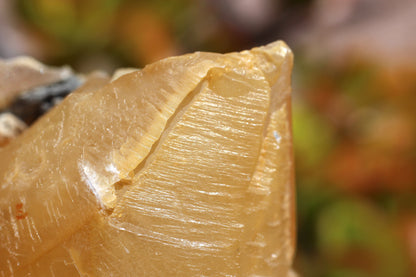 Golden Calcite