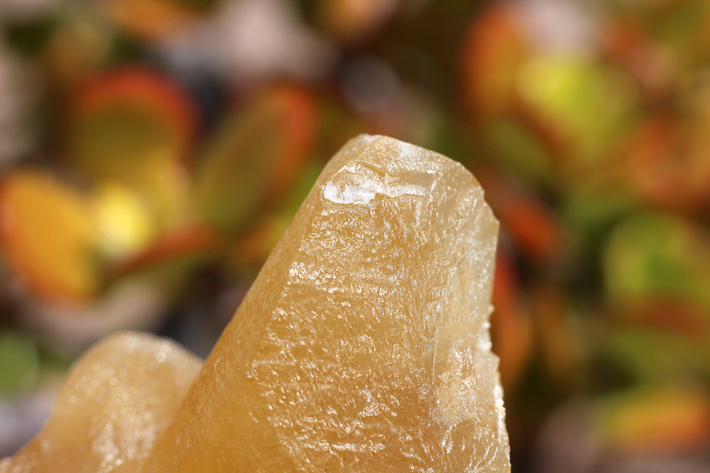 Golden Calcite