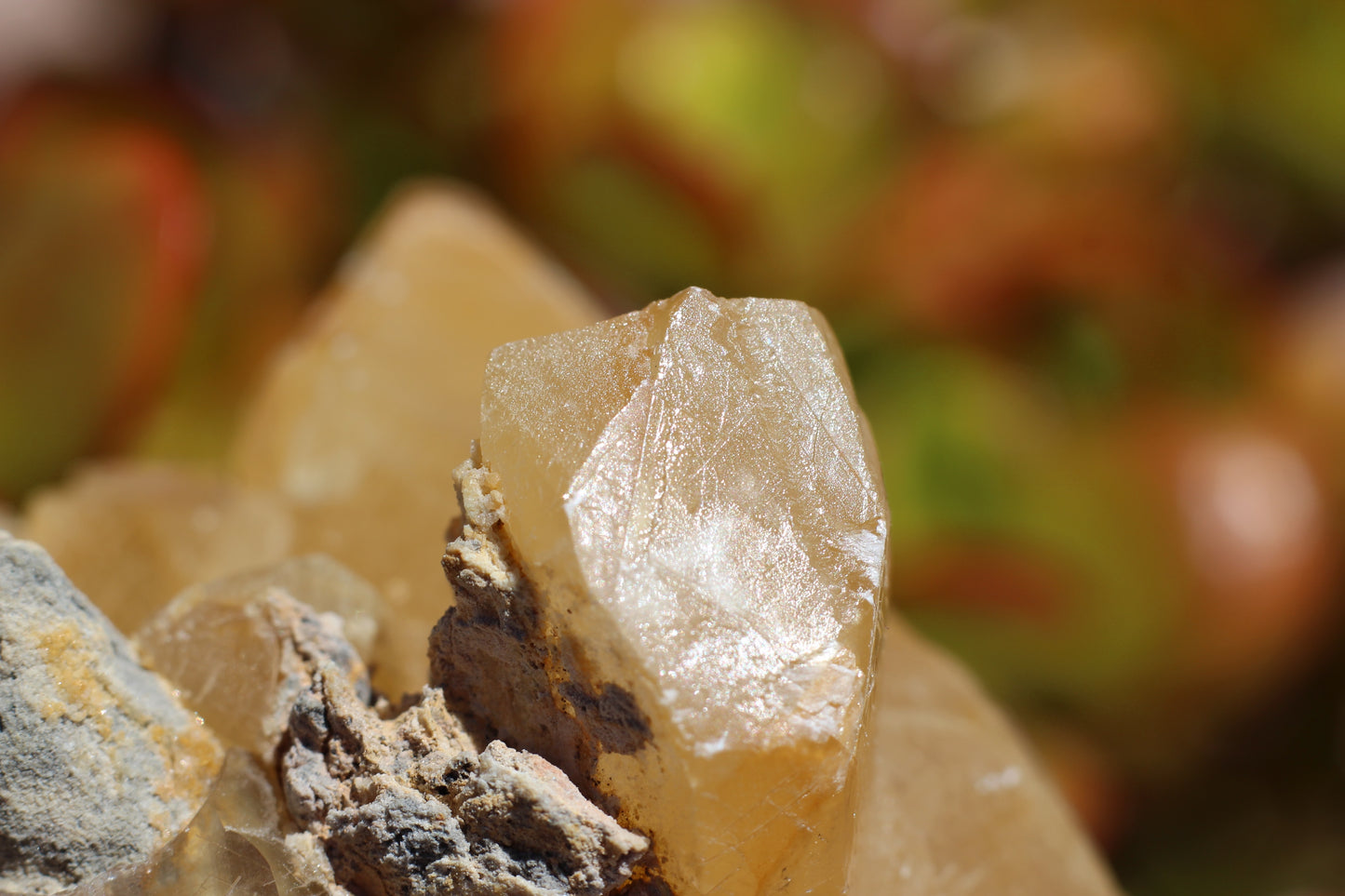 Golden Calcite, Double Terminated