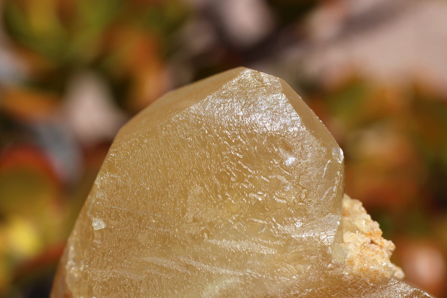 Golden Calcite