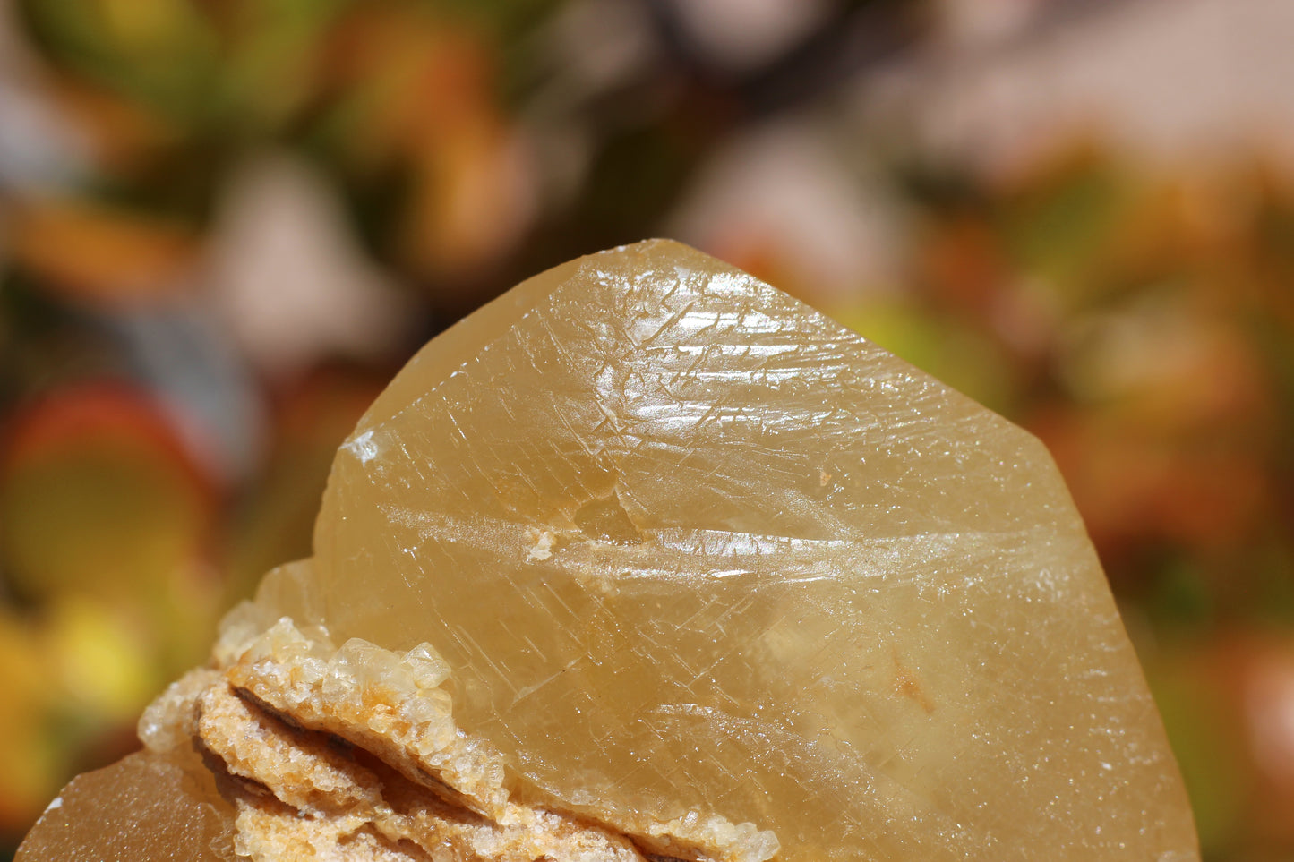 Golden Calcite