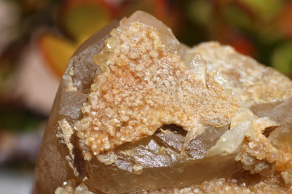 Golden Calcite