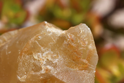 Golden Calcite