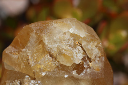 Golden Calcite