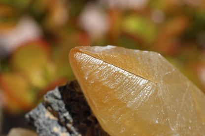 Golden Calcite, Double Terminated