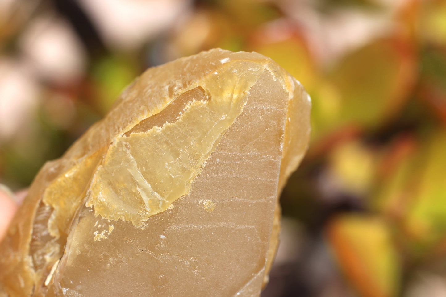 Golden Calcite