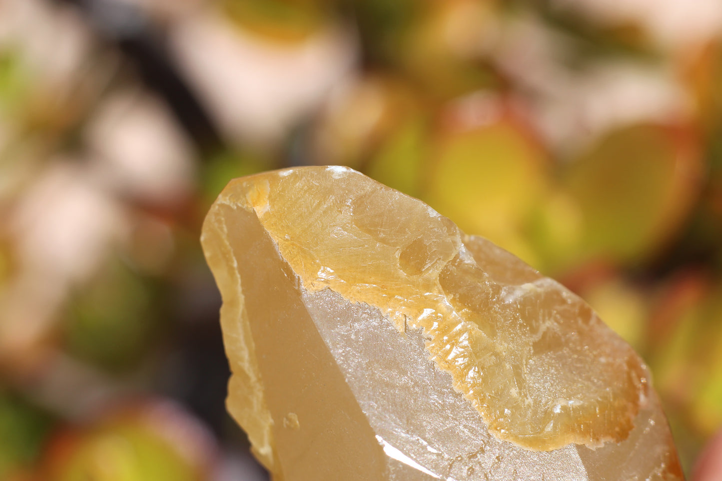 Golden Calcite