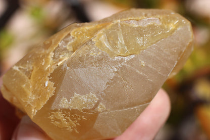 Golden Calcite