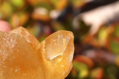 Golden Calcite, Double Terminated