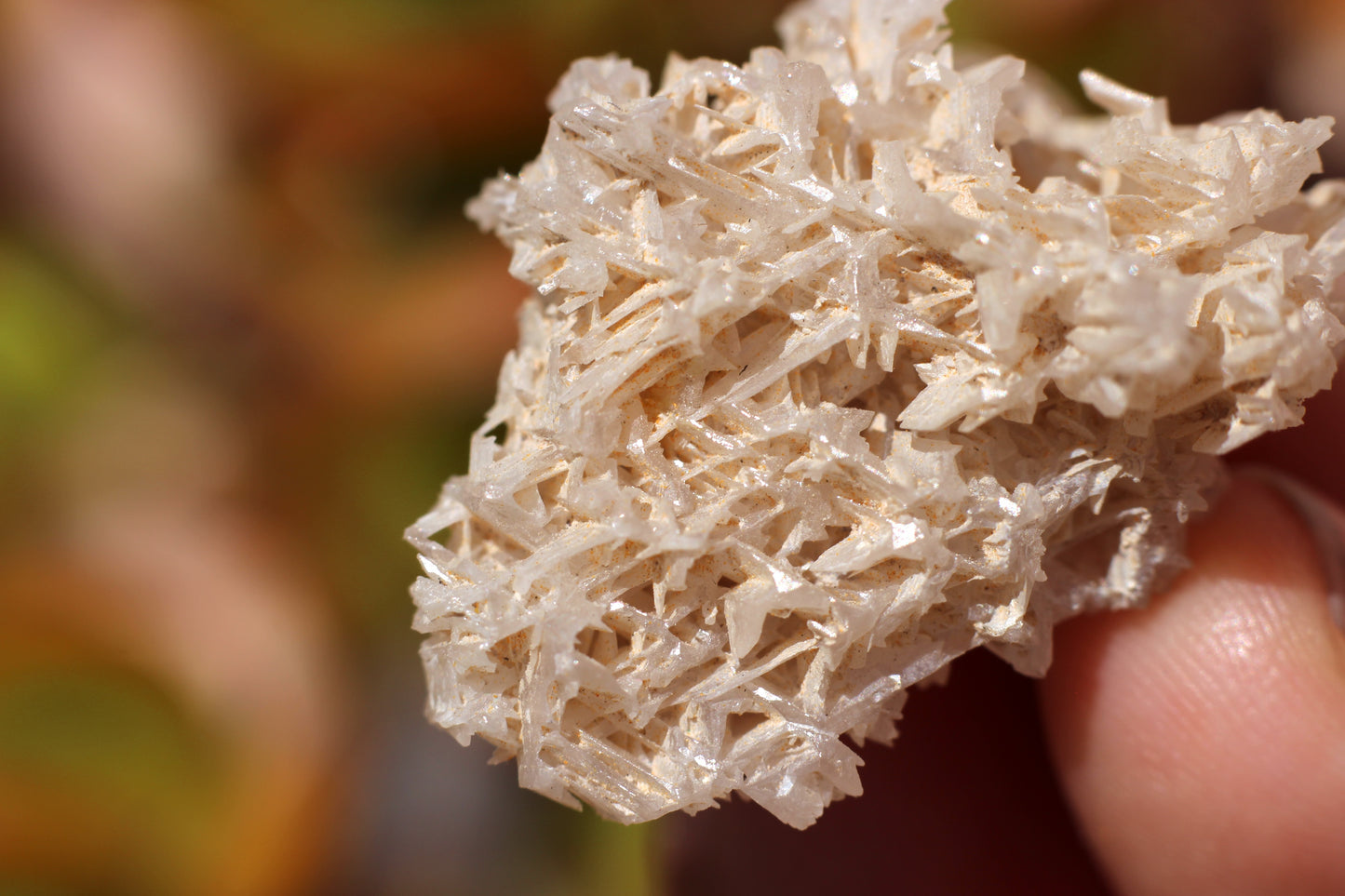 Snowflake Cerussite