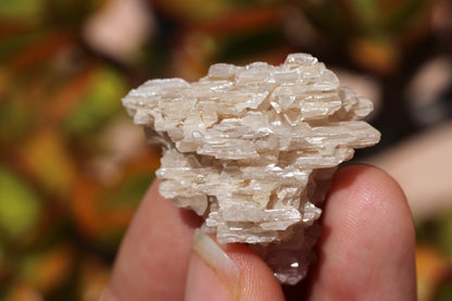 Snowflake Cerussite