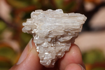 Snowflake Cerussite