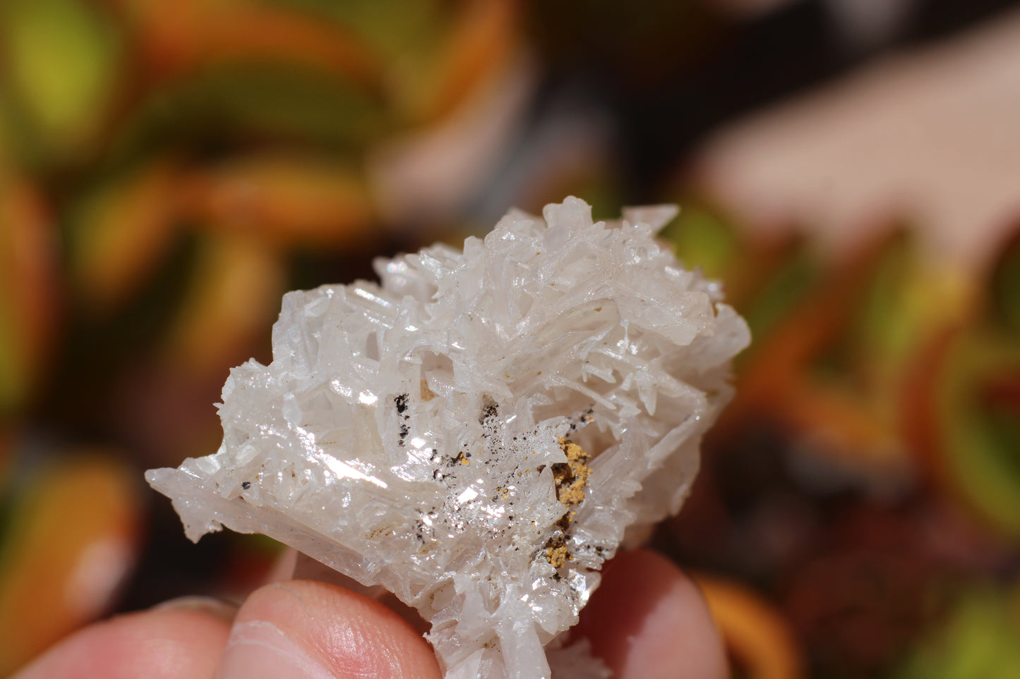 Snowflake Cerussite