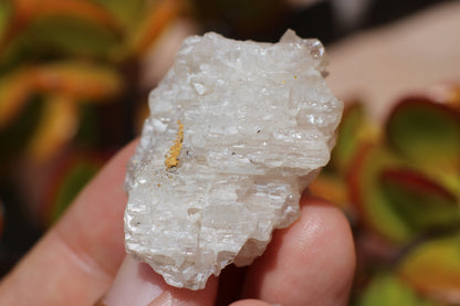 Snowflake Cerussite